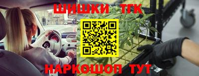 гидра Братск