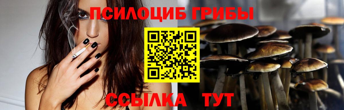Дзержинск  Галлюциногенные грибы Magic Shrooms  Вход с VPN  Галлюциногенные грибы мицелий 